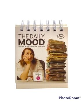 🦄 FREE with any purchase ⭐️  Daily Mood Desk Flipchart
